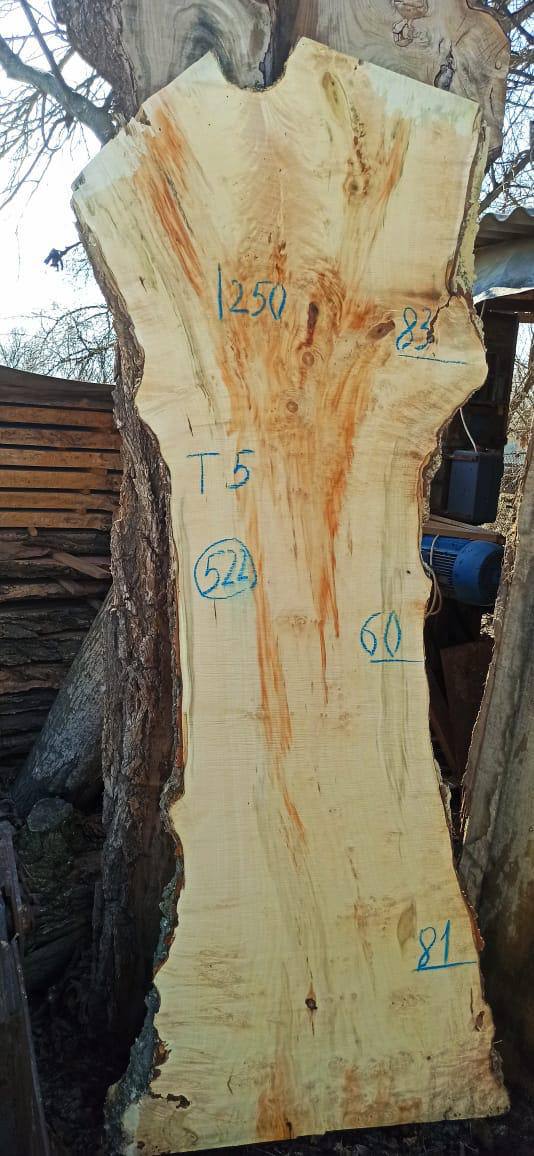 Слэб клен k522, 250 × 75 × 5 см
