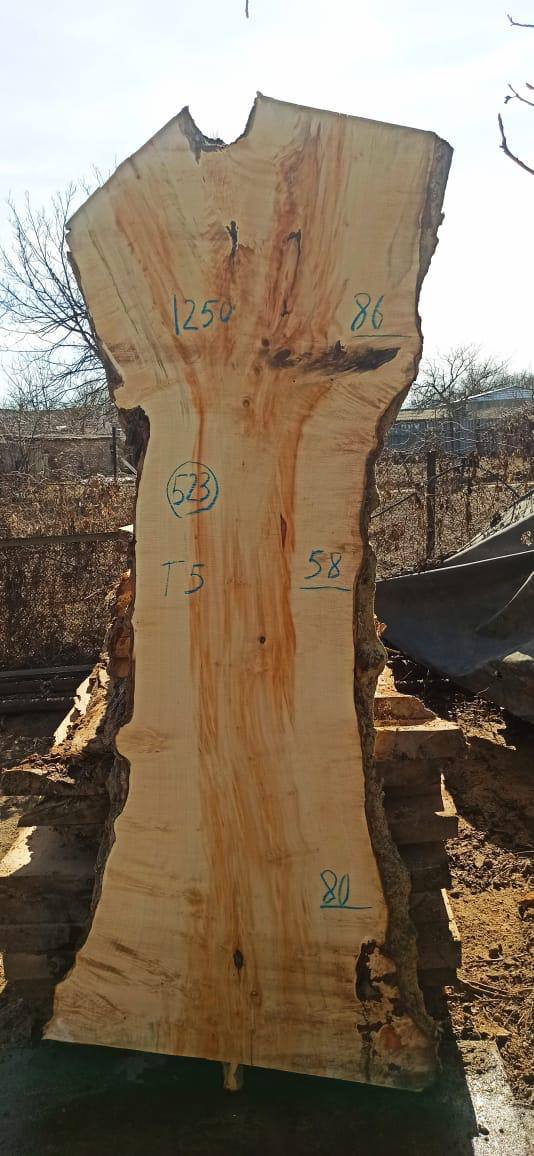 Слэб клен k523, 250 × 75 × 5 см